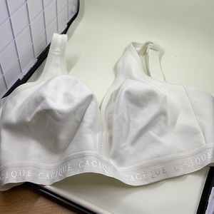 Cacique Cotton No Wire